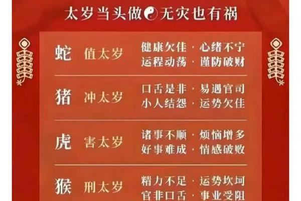 天长日久打一个正确生肖