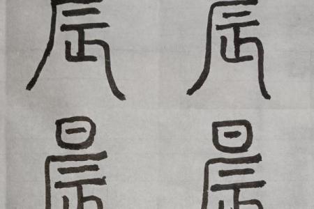 晨字五行属什么