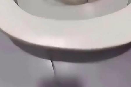 梦见厕所里有蛇