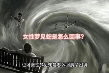 女人梦见蛇还有血预示着什么
