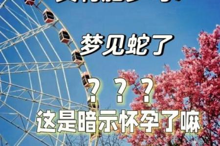 备孕女人梦见蛇是什么预兆