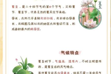 夏至节气祝福语50句