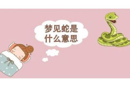 梦到蛇一定是胎梦吗