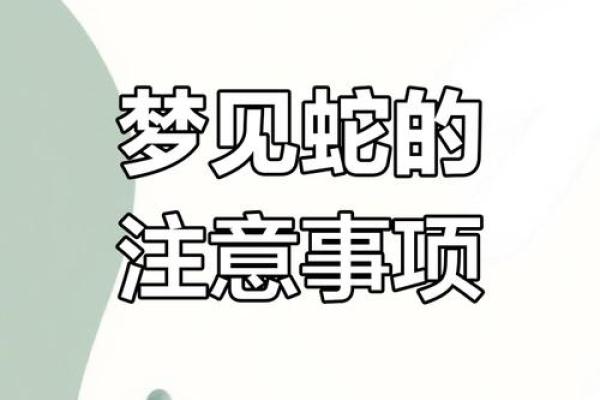 梦见可多蛇