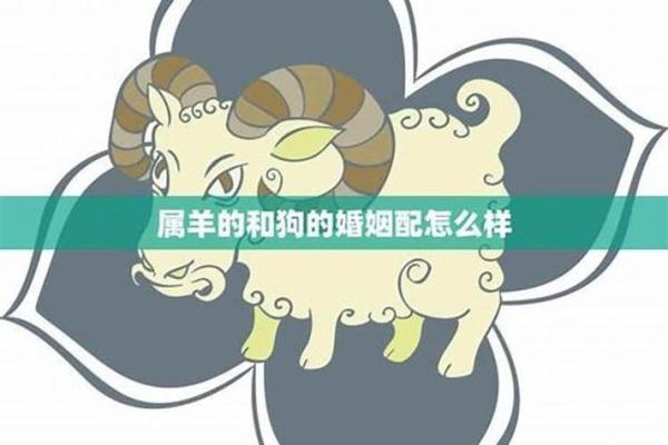 梦见可多蛇