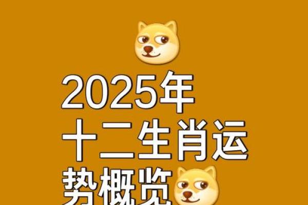 鼠2025年运势(鼠2025年运势)