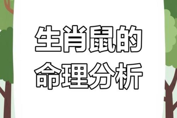 1984年男鼠的婚姻与命运(1984的鼠男婚姻状况)