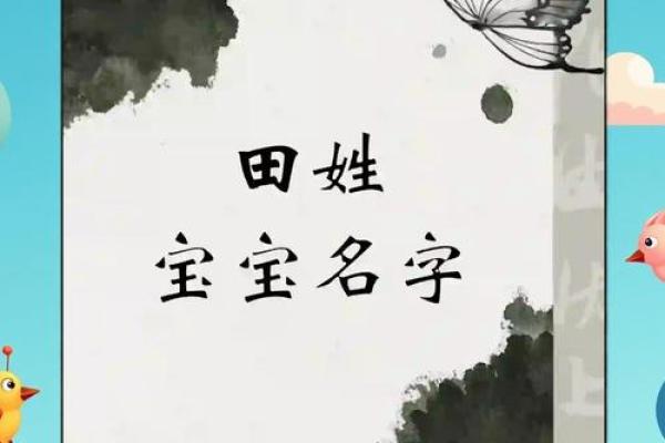 田字五行属什么