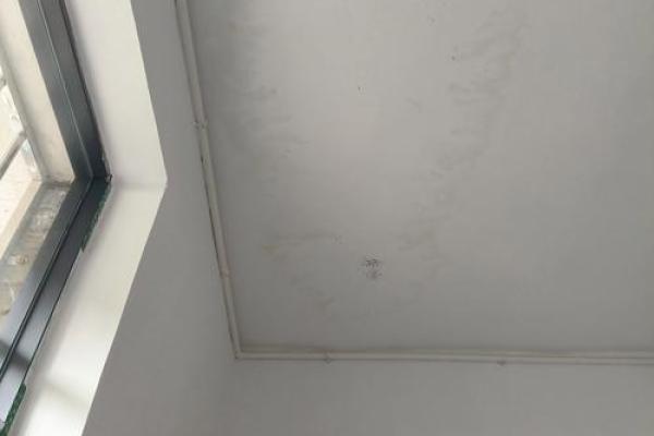 梦见房屋漏水什么意思