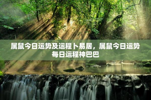 鼠人今天运气(鼠人今天运气好吗神巴巴网)