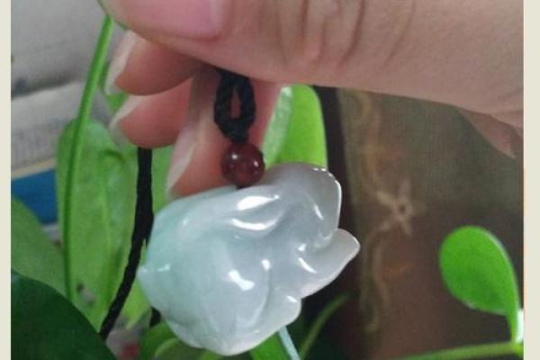 玉兔出宫有带宝打一最准生肖 玉兔出宫十二生肖是什么动物-...