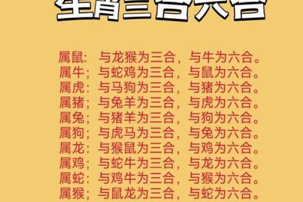 无本生意打一个生肖 无本生意打一生肖正确数字