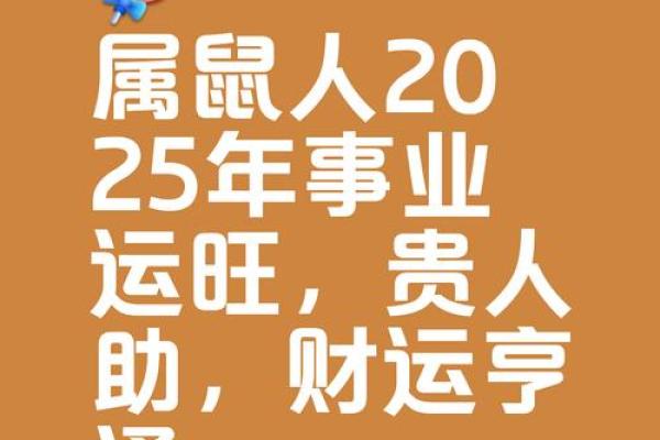 72属鼠2025年整体运势(属鼠人2025运势及运程)