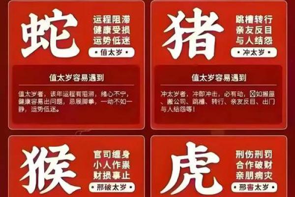 高人预言属鼠2025年财运(2025年属鼠的人怎么样)