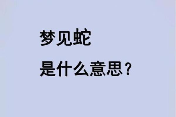 梦见路上到处都是蛇
