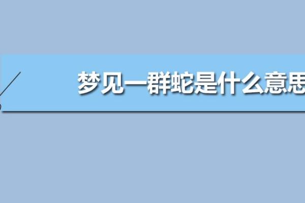 梦见蛇在自己身体里钻来钻去