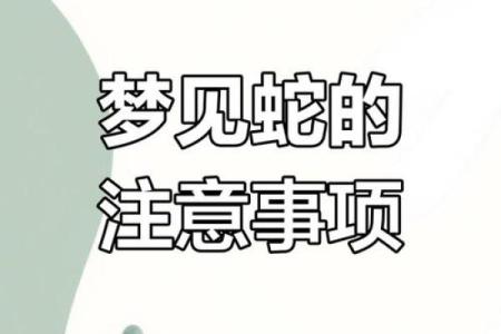 梦见可多蛇