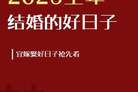 2025领证最火日子(2025年适合领证的日子)