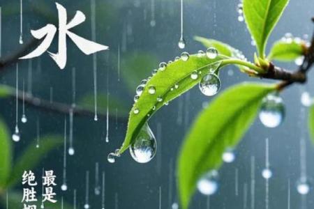 雨水节气是每年的哪一天 今年雨水节气几点几分