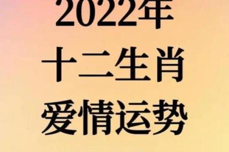 1984年鼠女2025年运势(1984年鼠女2025年运势如何)