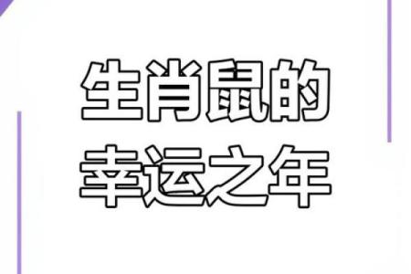2025年属鼠的运势和财运1984年(属鼠人2025年的运势)