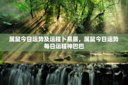 鼠人今天运气(鼠人今天运气好吗神巴巴网)