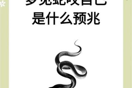 梦见蛇爬到身上是什么预兆