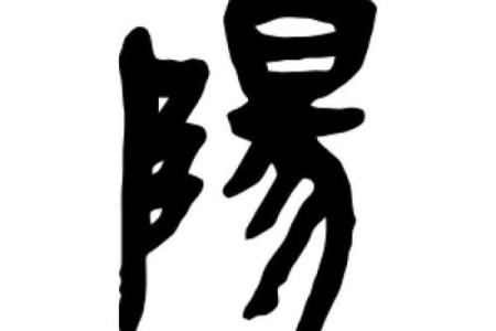 阳字五行属什么