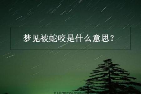 梦见蛇咬自己是什么兆头周公解梦