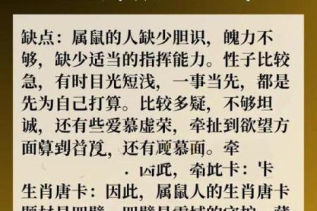 属鼠84年2025年运势(84年属鼠的人202o年的运势及运程)