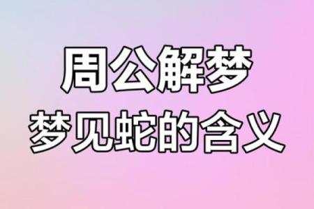 梦到买蛇回家代表什么