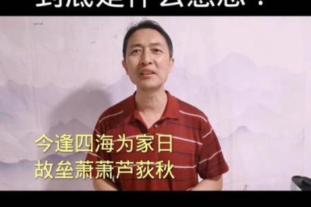 从今四海为家日指什么生肖 从今四海为家日打一正确生肖
