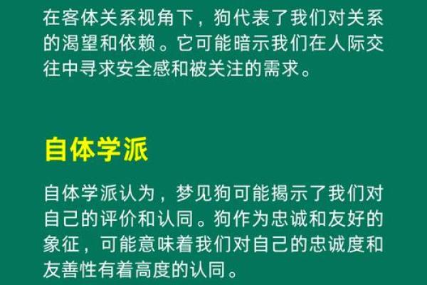 梦见狗追人