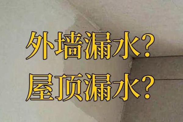 梦到老房子漏雨是什么预兆