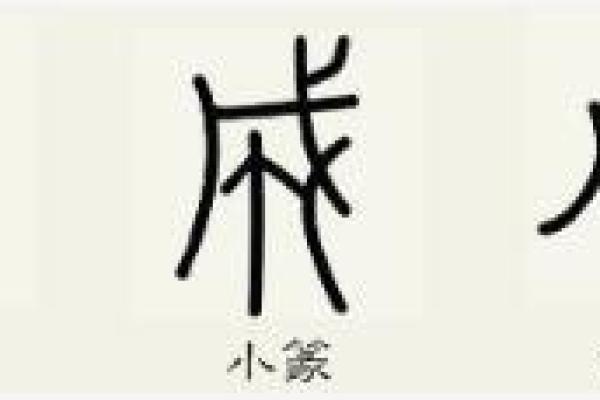 成字五行属什么