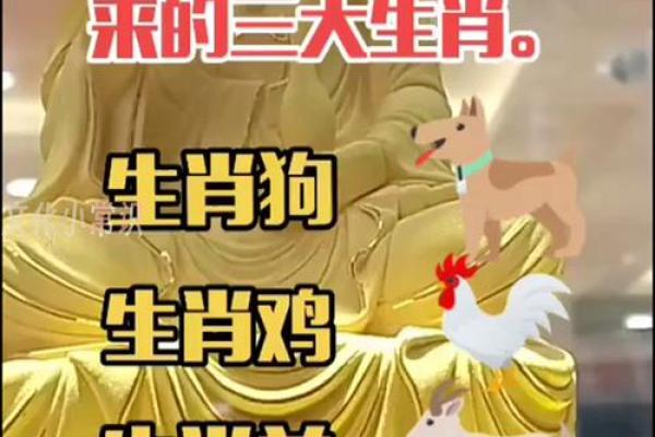 好事成双是什么生肖 好事成双正确打一生肖
