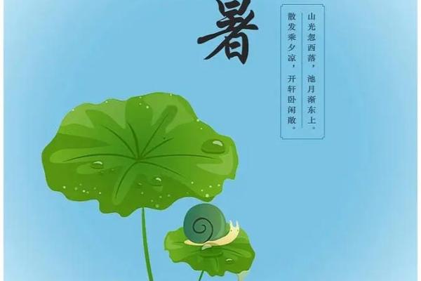 2020小暑是哪一天 今年什么时候是小暑节气2020