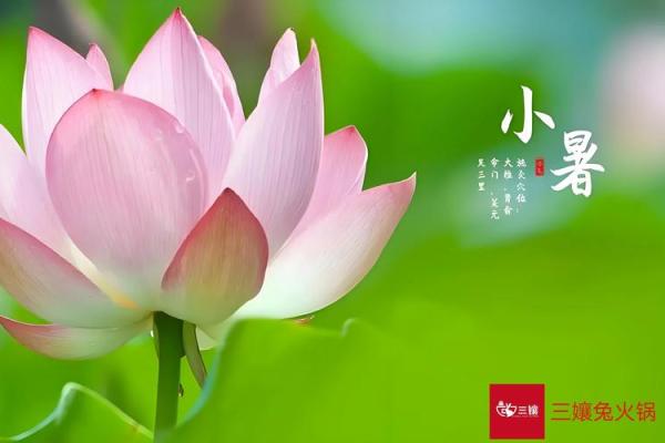 2020小暑是哪一天 今年什么时候是小暑节气2020