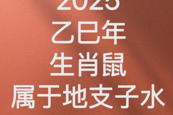 2025年属鼠1984年的全年运气如何(鼠2025年运势)