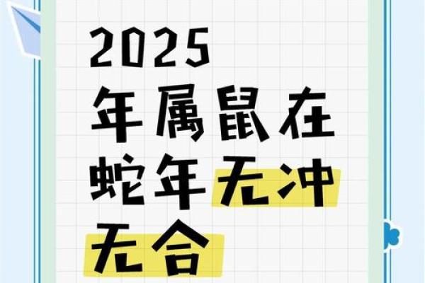 2025年属鼠1984年的全年运气如何(鼠2025年运势)