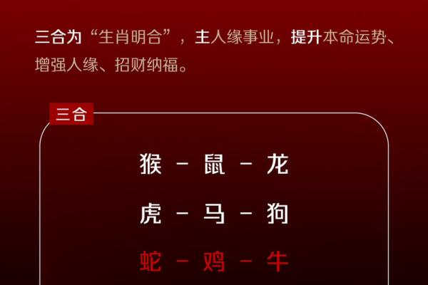 画地为牢打一生肖 画地为牢打一正确生肖最佳答案