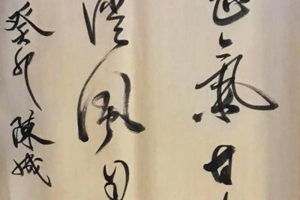 两袖清风打一个正确生肖 两袖清风打一生肖正确答案是马