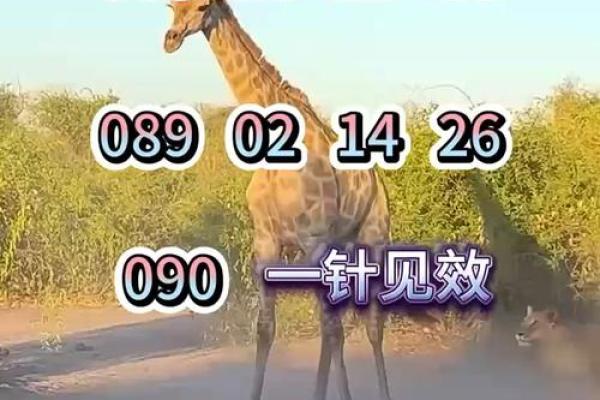 才高八斗是什么生肖 才高八斗是什么动物