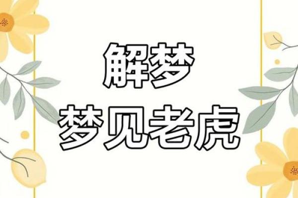 孕妇梦见被老虎追是什么意思