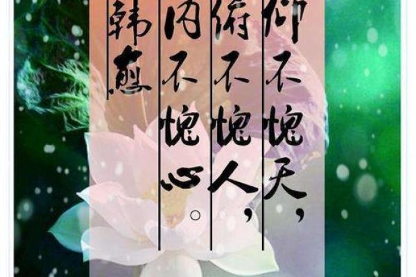 仰不愧天打一生肖 仰不愧天代表什么动物