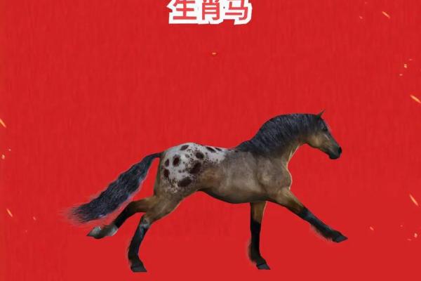 倚马千言是指什么生肖 奇马千言打一准确生肖