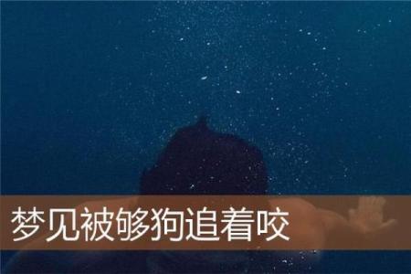 周公解梦梦见被人追打