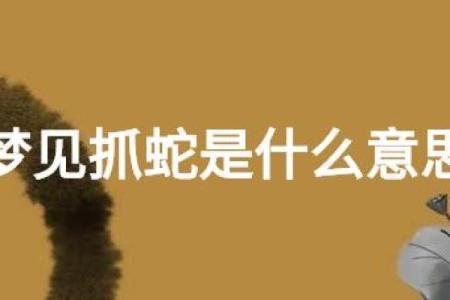 梦见捉蛇是什么预兆周公解梦