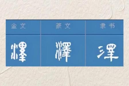 泽字五行属什么
