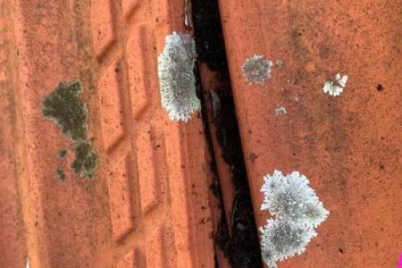 梦到老房子漏雨是什么预兆